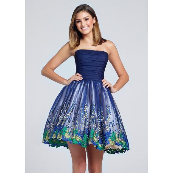 Ellie Wilde Mon Cheri Dresses & Skirts - Ellie Wilde Mon Cheri Ruched Bodice Strapless Tulle A Line Dress Womens 10